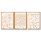 Set of 3 Floral Matisse Roses in Beige Framed Wall Art with Oak Wooden Frames