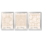 Set of 3 Floral Matisse Roses in Beige Framed Wall Art with Silver Wood Frames