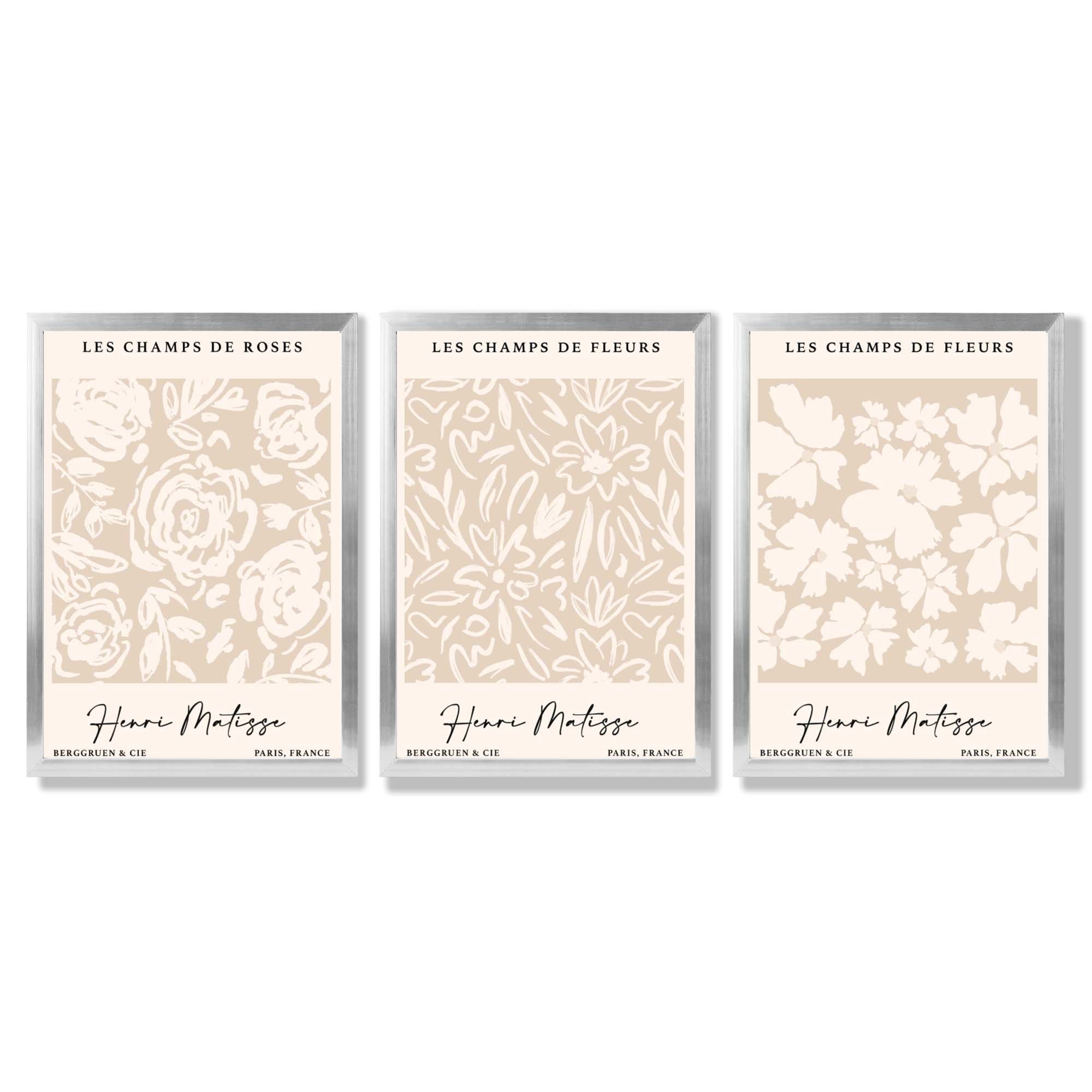 Set of 3 Floral Matisse Roses in Beige Framed Wall Art with Silver Wood Frames