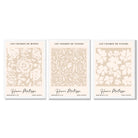 Set of 3 Floral Matisse Roses in Beige Framed Wall Art with White Wooden Frames