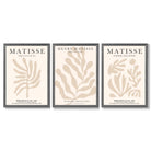 Set of 3 Matisse Botanical in Beige Framed Wall Art with Dark Grey Wooden Frames