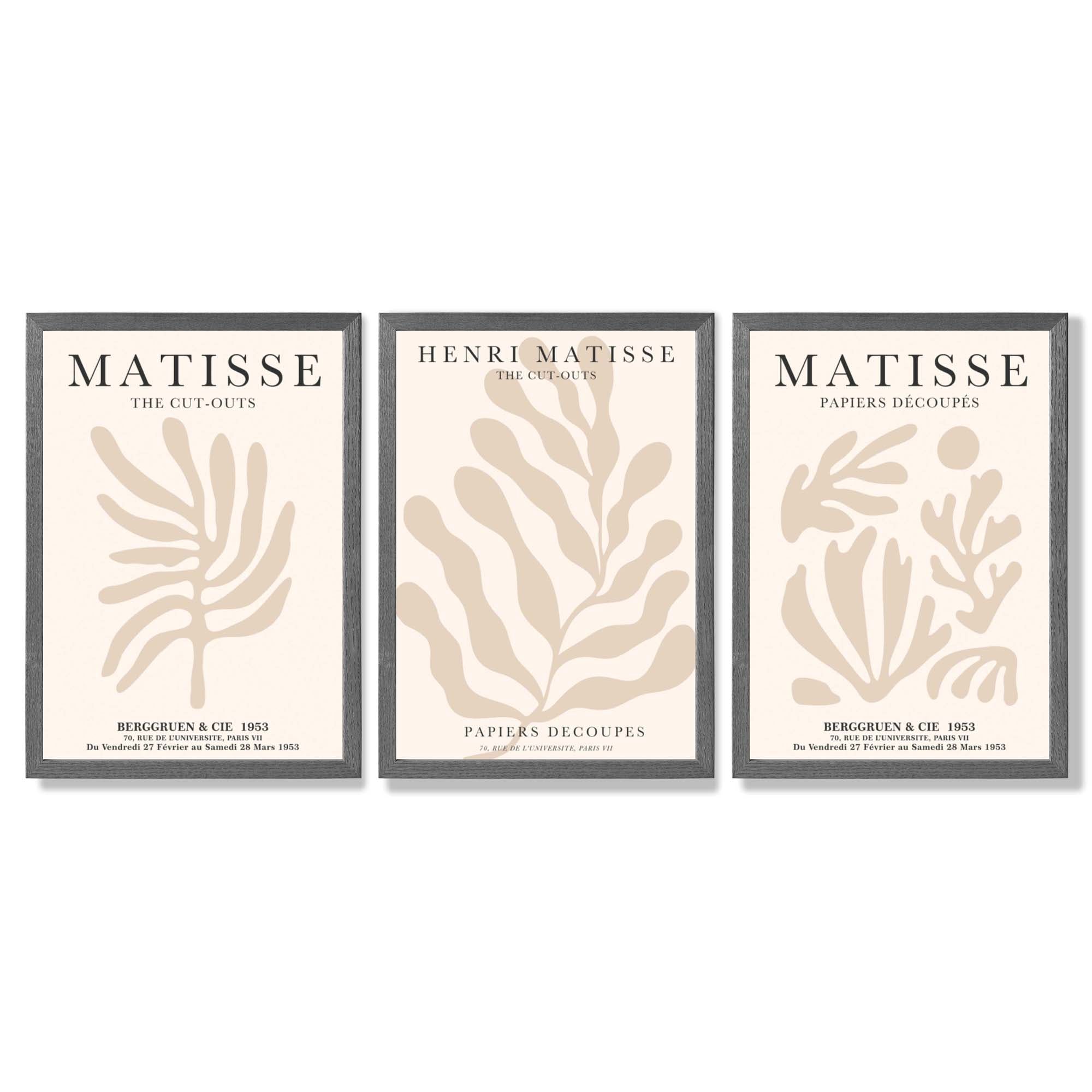 Set of 3 Matisse Botanical in Beige Framed Wall Art with Dark Grey Wooden Frames