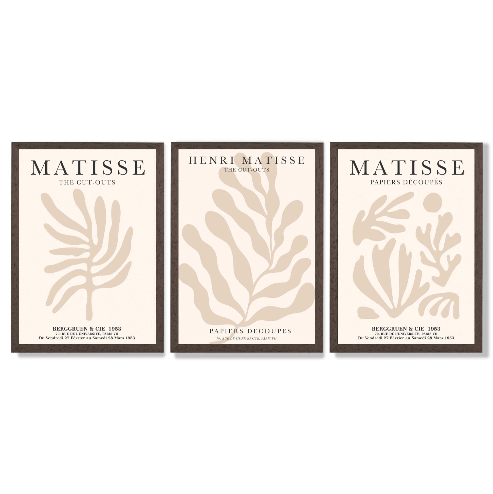 Set of 3 Matisse Botanical in Beige Framed Wall Art with Dark Wood Frames