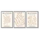 Set of 3 Matisse Botanical in Beige Framed Wall Art with Light Grey Wooden Frames