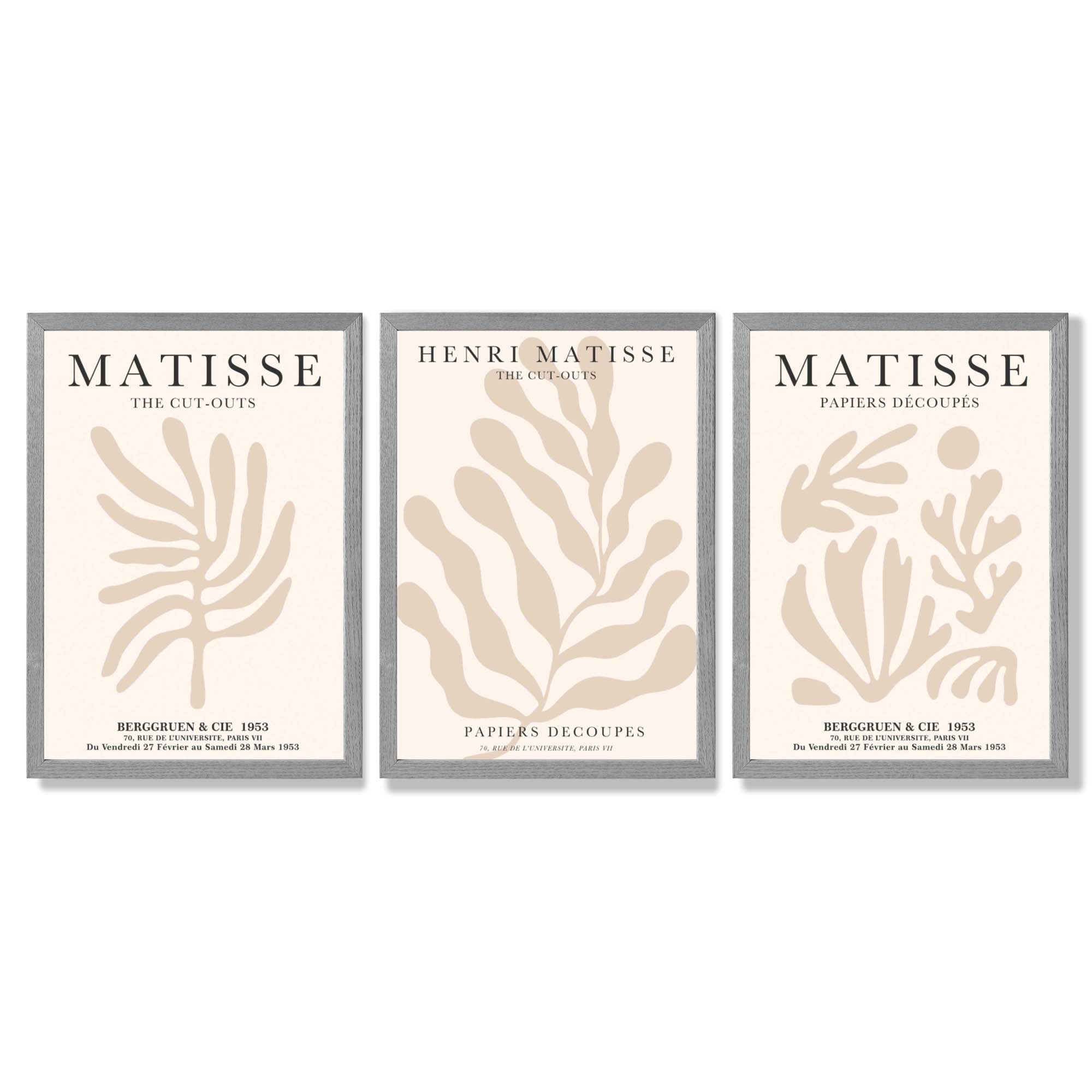 Set of 3 Matisse Botanical in Beige Framed Wall Art with Light Grey Wooden Frames