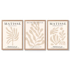 Set of 3 Matisse Botanical in Beige Framed Wall Art with Light Oak Frames