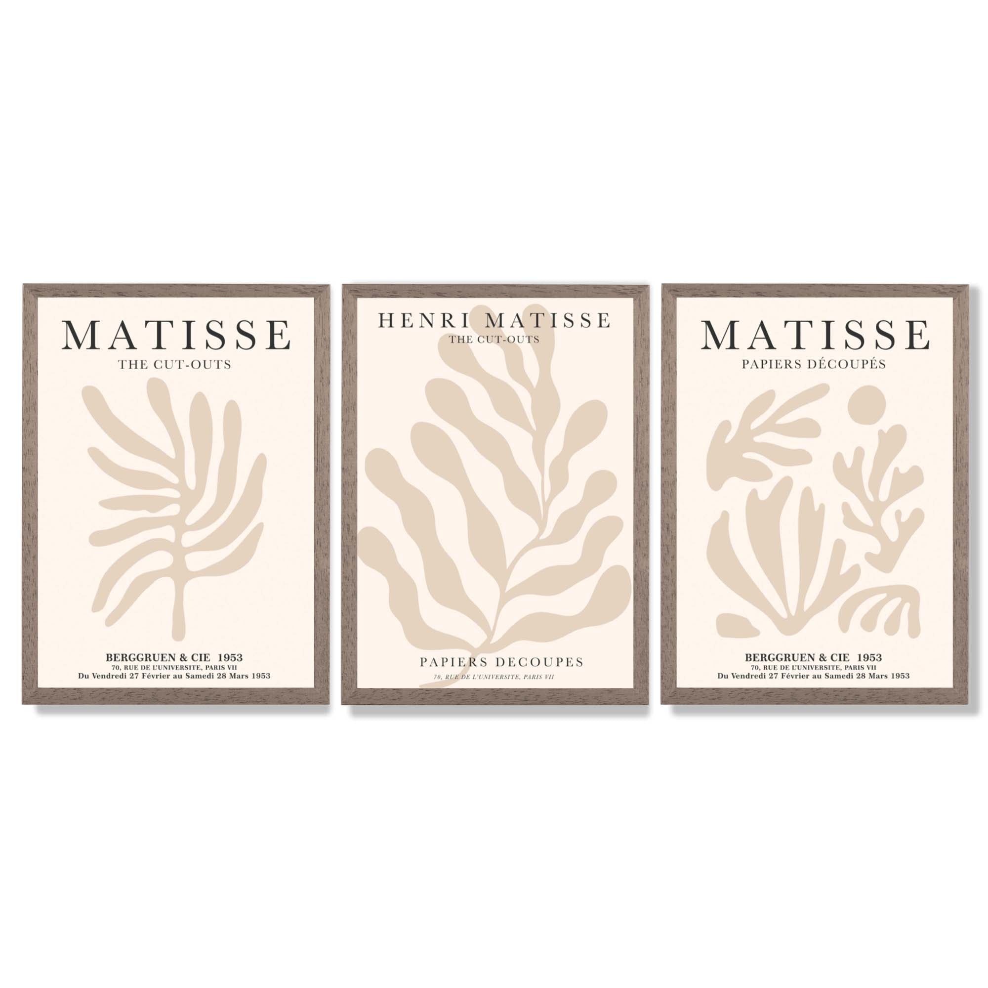 Set of 3 Matisse Botanical in Beige Framed Wall Art with Light Walnut Frames
