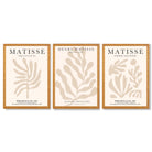 Set of 3 Matisse Botanical in Beige Framed Wall Art with Oak Wooden Frames