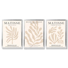 Set of 3 Matisse Botanical in Beige Framed Wall Art with Silver Wood Frames