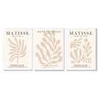 Set of 3 Matisse Botanical in Beige Framed Wall Art with White Wooden Frames