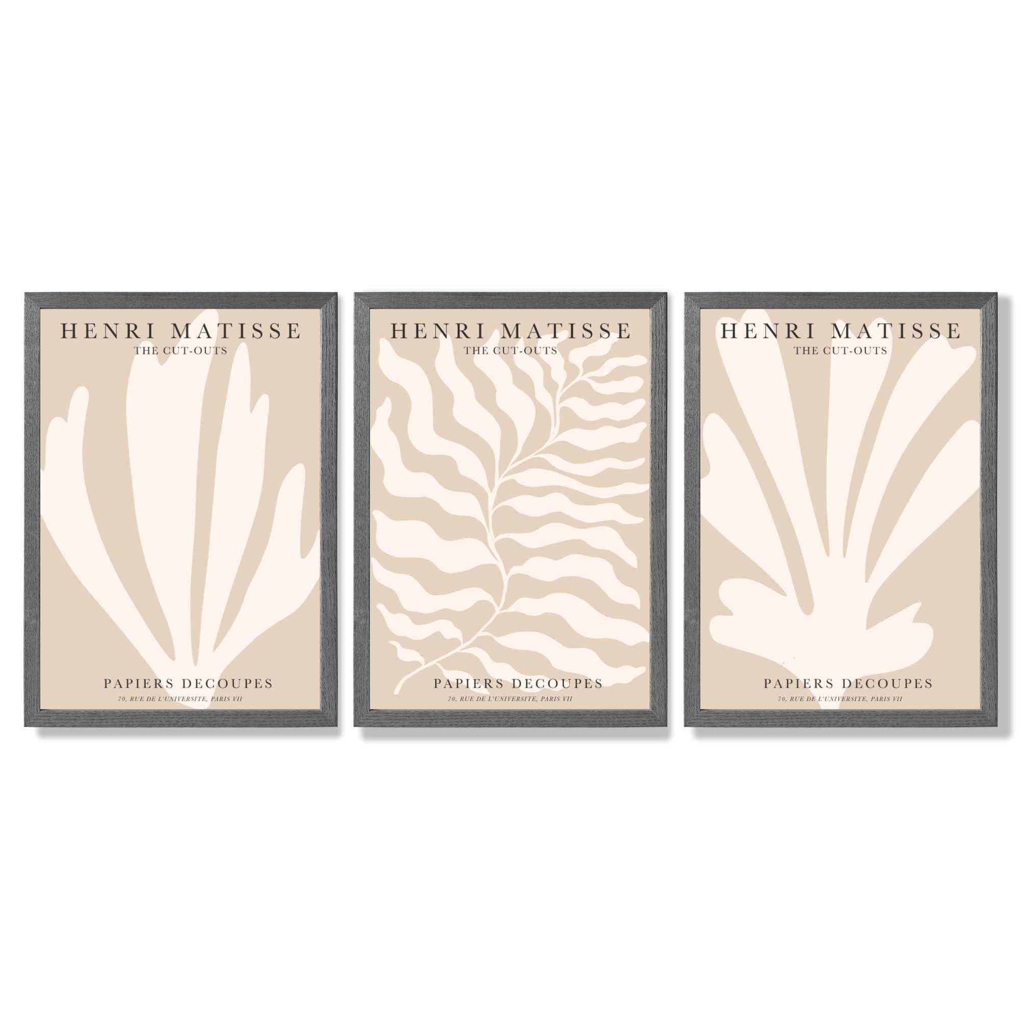 Set of 3 Matisse Botanical in Warm Beige Framed Wall Art with Dark Grey Wooden Frames