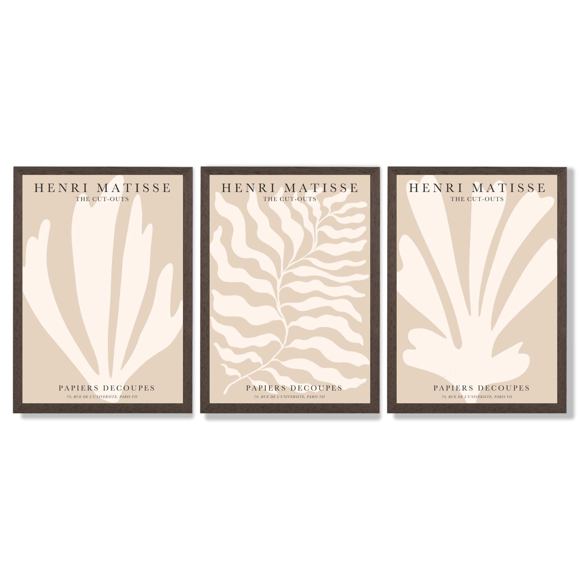 Set of 3 Matisse Botanical in Warm Beige Framed Wall Art with Dark Wood Frames