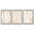 Set of 3 Matisse Botanical in Warm Beige Framed Wall Art with Light Grey Wooden Frames