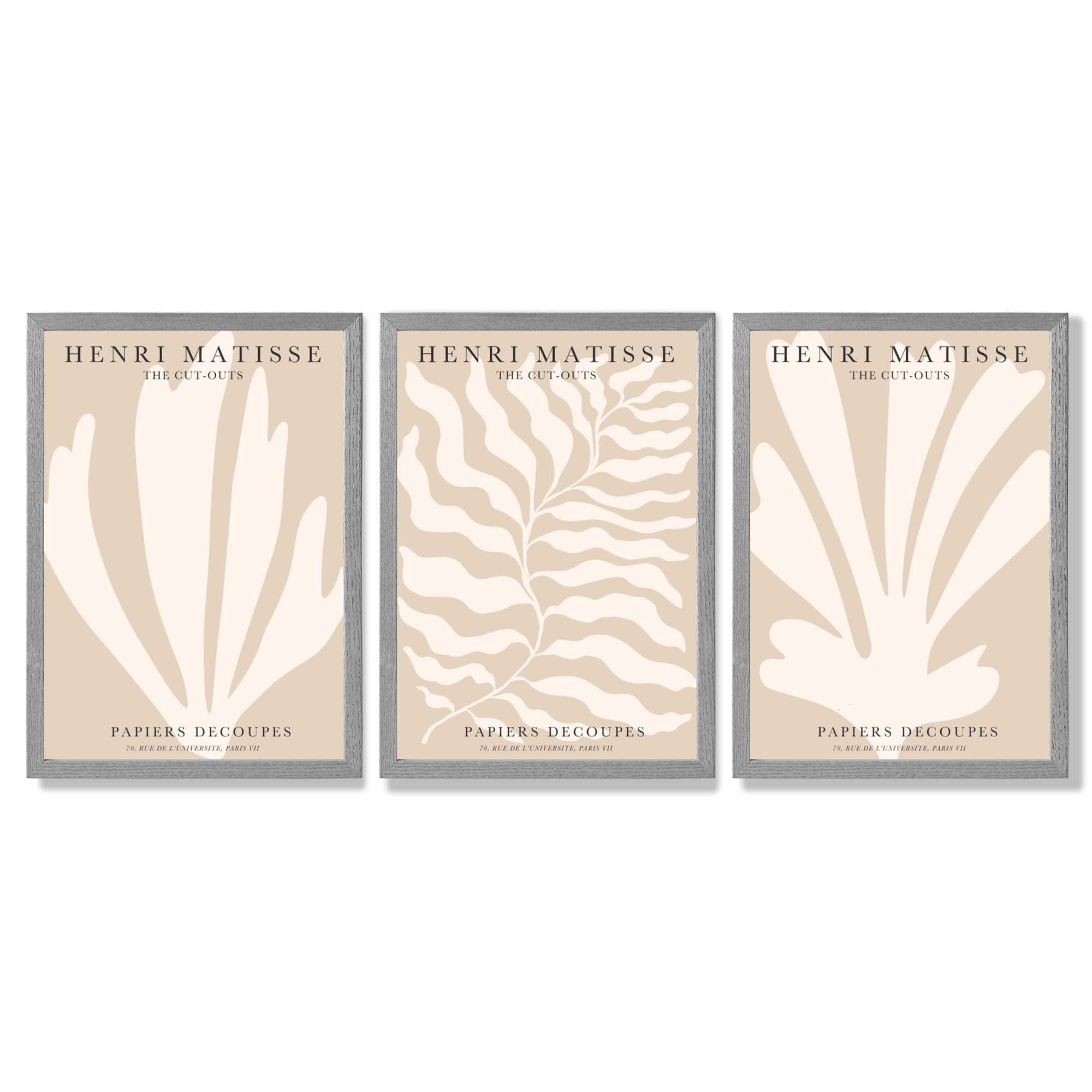 Set of 3 Matisse Botanical in Warm Beige Framed Wall Art with Light Grey Wooden Frames