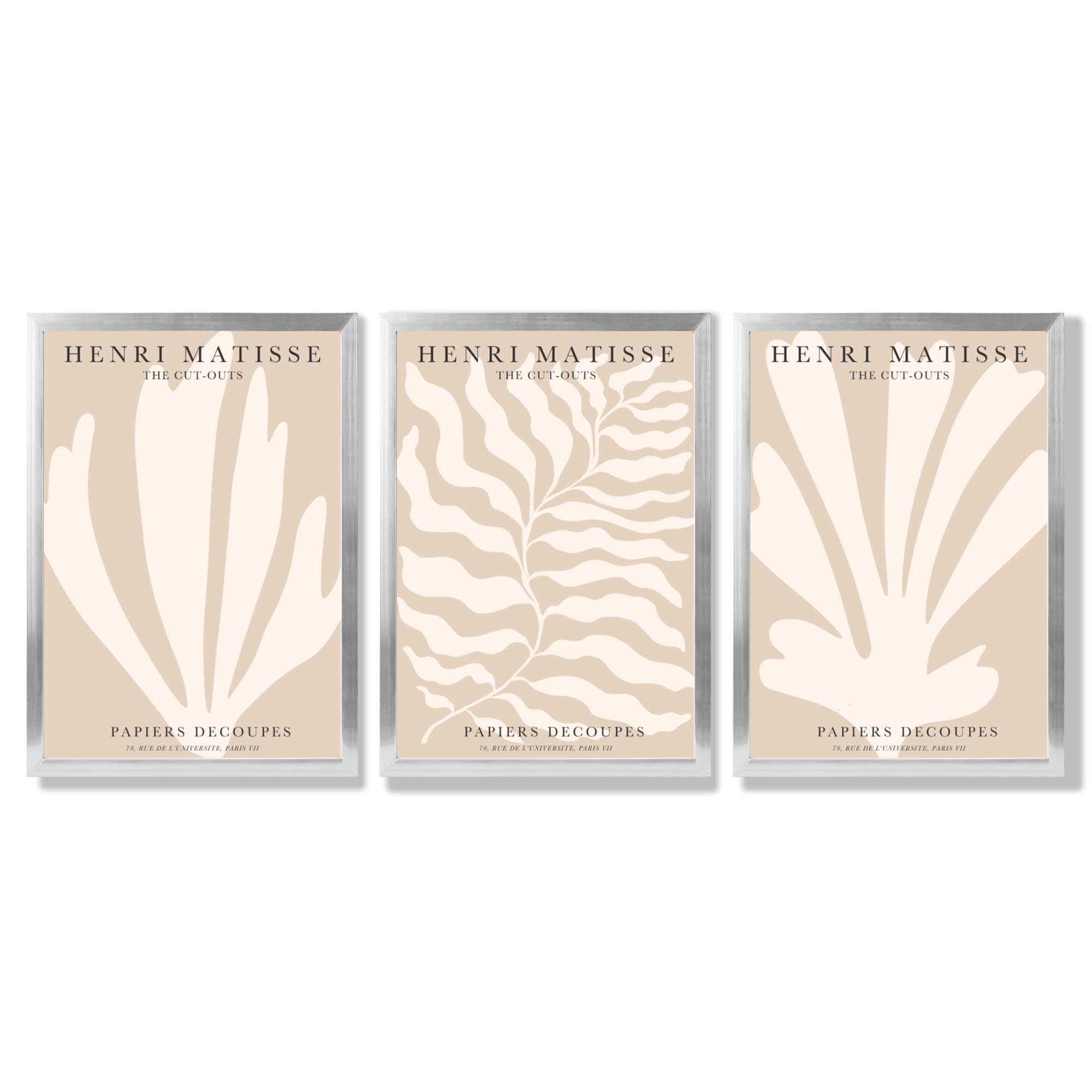 Set of 3 Matisse Botanical in Warm Beige Framed Wall Art with Silver Wood Frames