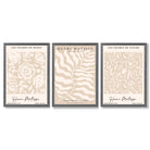 Matisse Warm Beige Set of 3 Floral Framed Wall Art with Dark Grey Wooden Frames