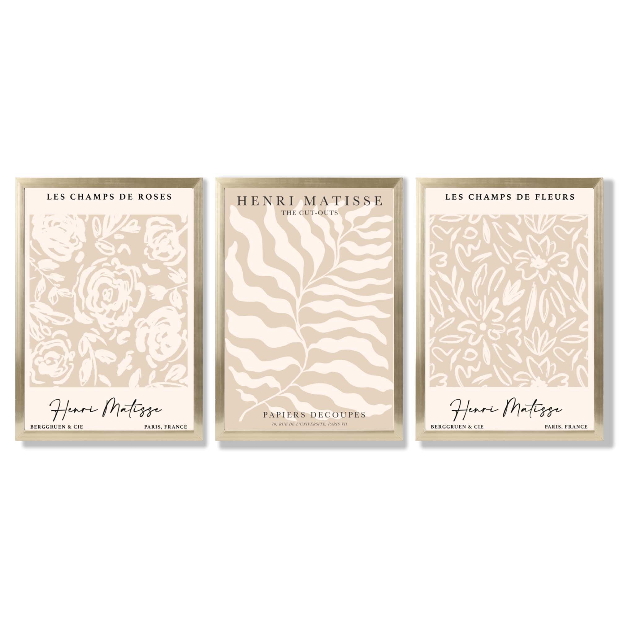 Matisse Warm Beige Set of 3 Floral Framed Wall Art with Gold Wood Frames