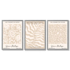 Matisse Warm Beige Set of 3 Floral Framed Wall Art with Light Grey Wooden Frames