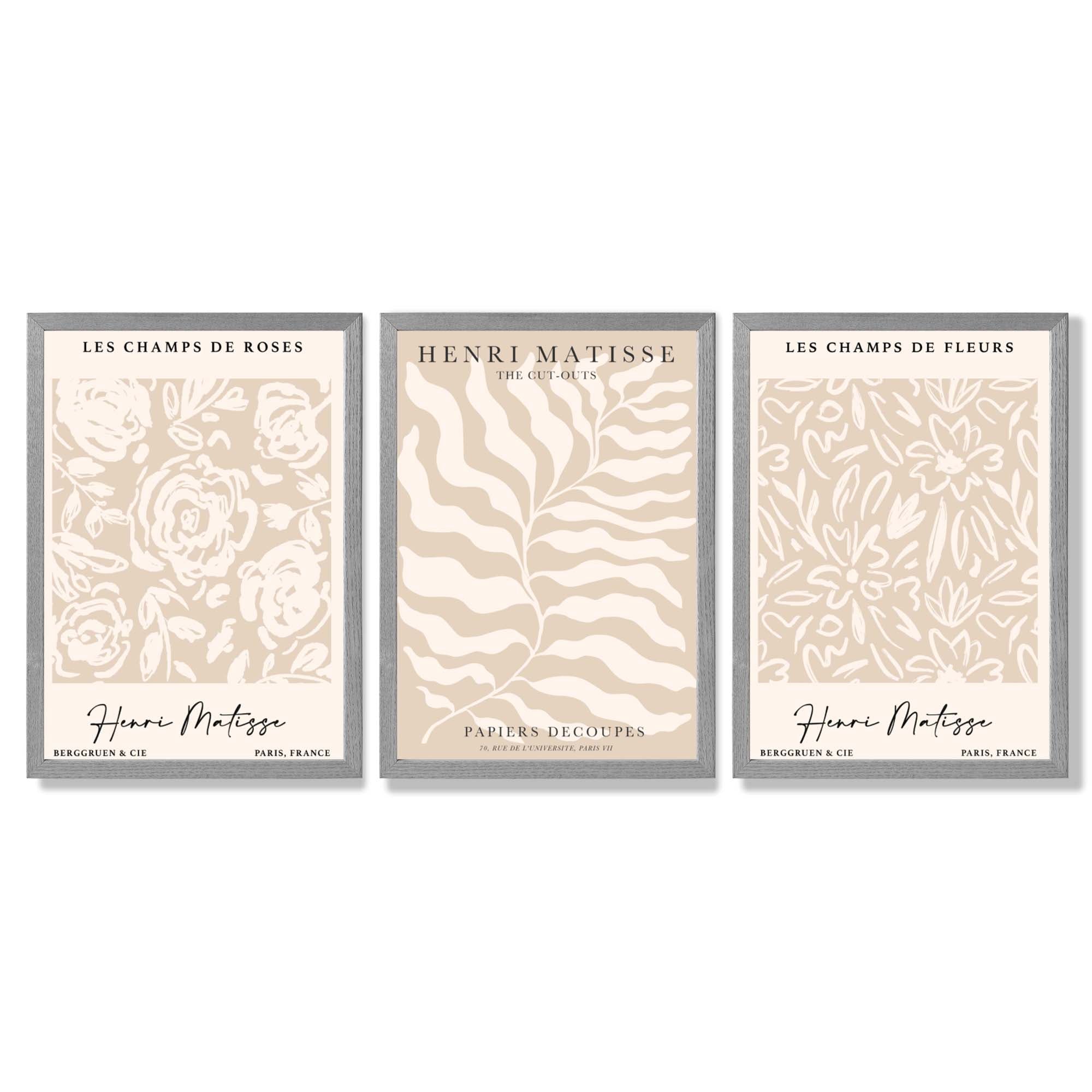 Matisse Warm Beige Set of 3 Floral Framed Wall Art with Light Grey Wooden Frames