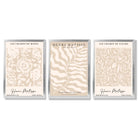 Matisse Warm Beige Set of 3 Floral Framed Wall Art with Silver Wood Frames