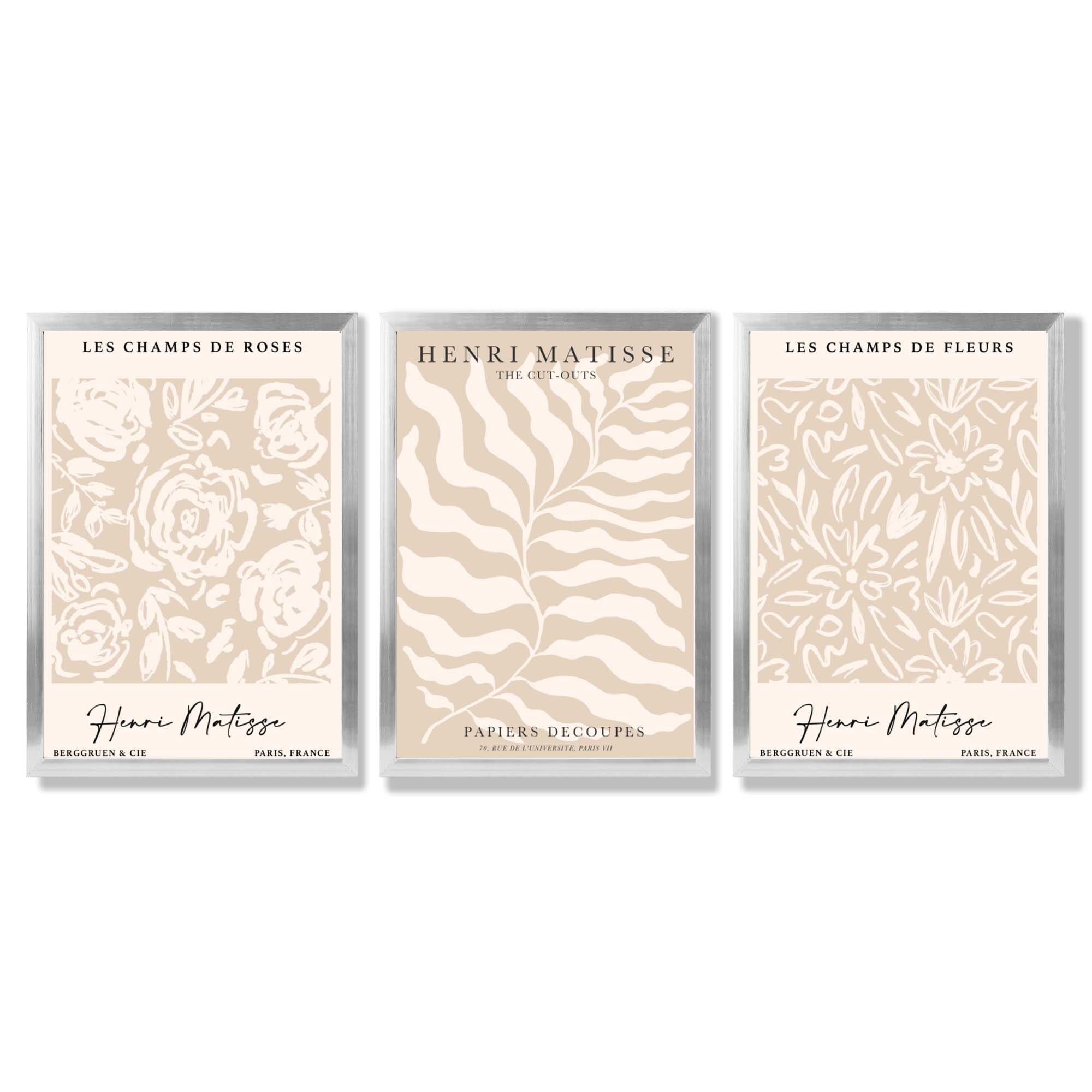 Matisse Warm Beige Set of 3 Floral Framed Wall Art with Silver Wood Frames