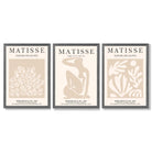 Matisse Set of 3 Beige Botanical Framed Wall Art with Dark Grey Wooden Frames