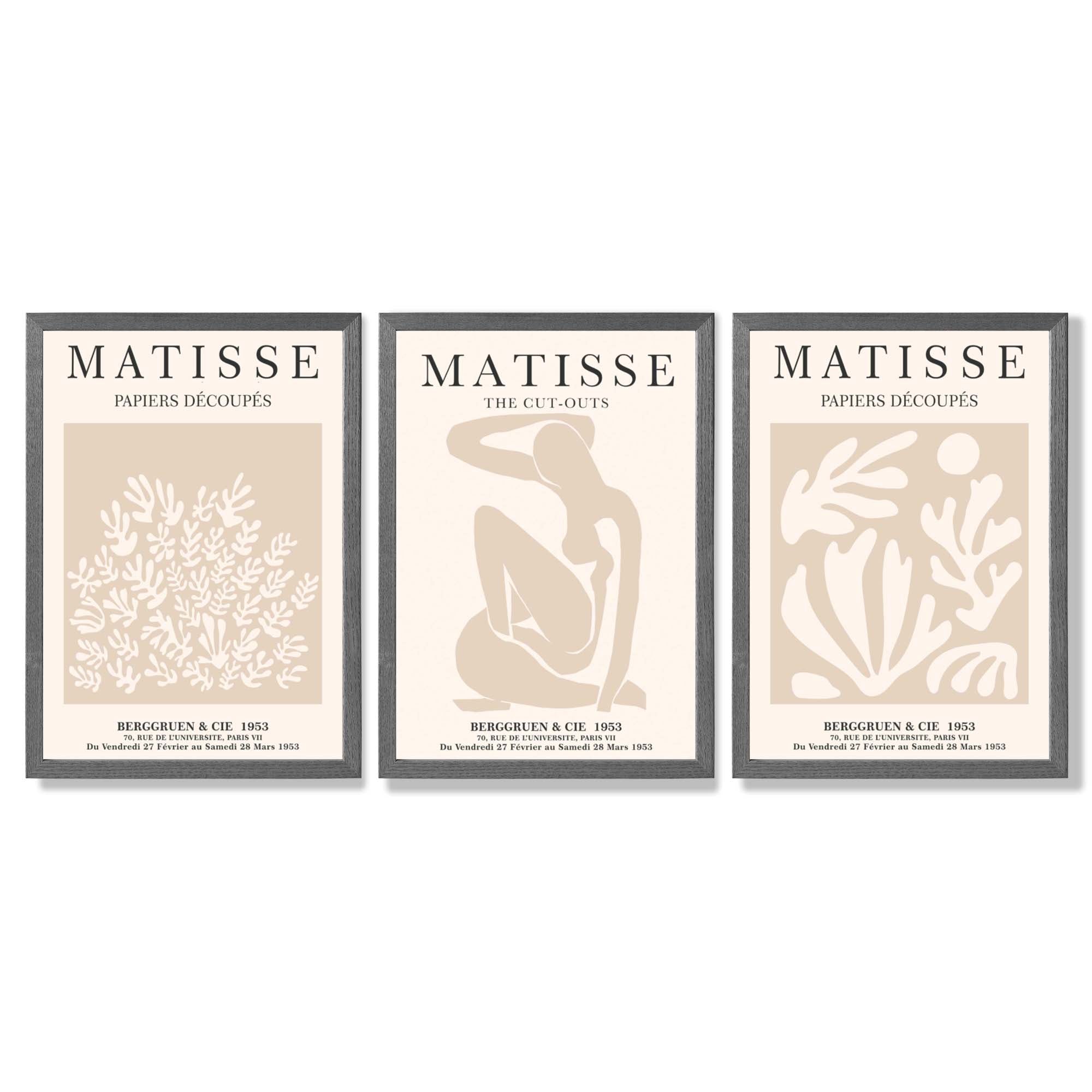 Matisse Set of 3 Beige Botanical Framed Wall Art with Dark Grey Wooden Frames