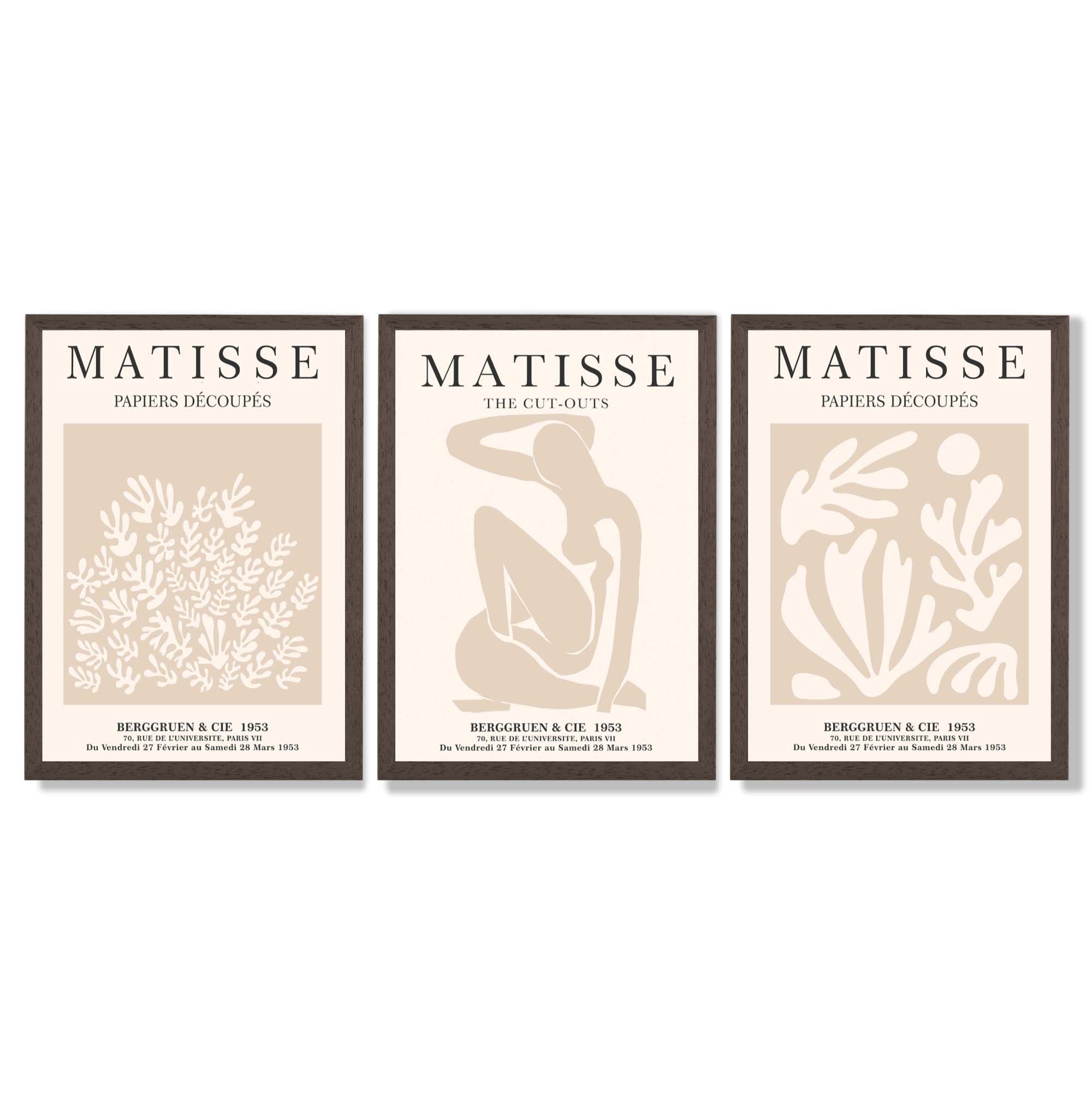 Matisse Set of 3 Beige Botanical Framed Wall Art with Dark Wood Frames