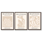 Matisse Set of 3 Beige Botanical Framed Wall Art with Dark Wood Frames