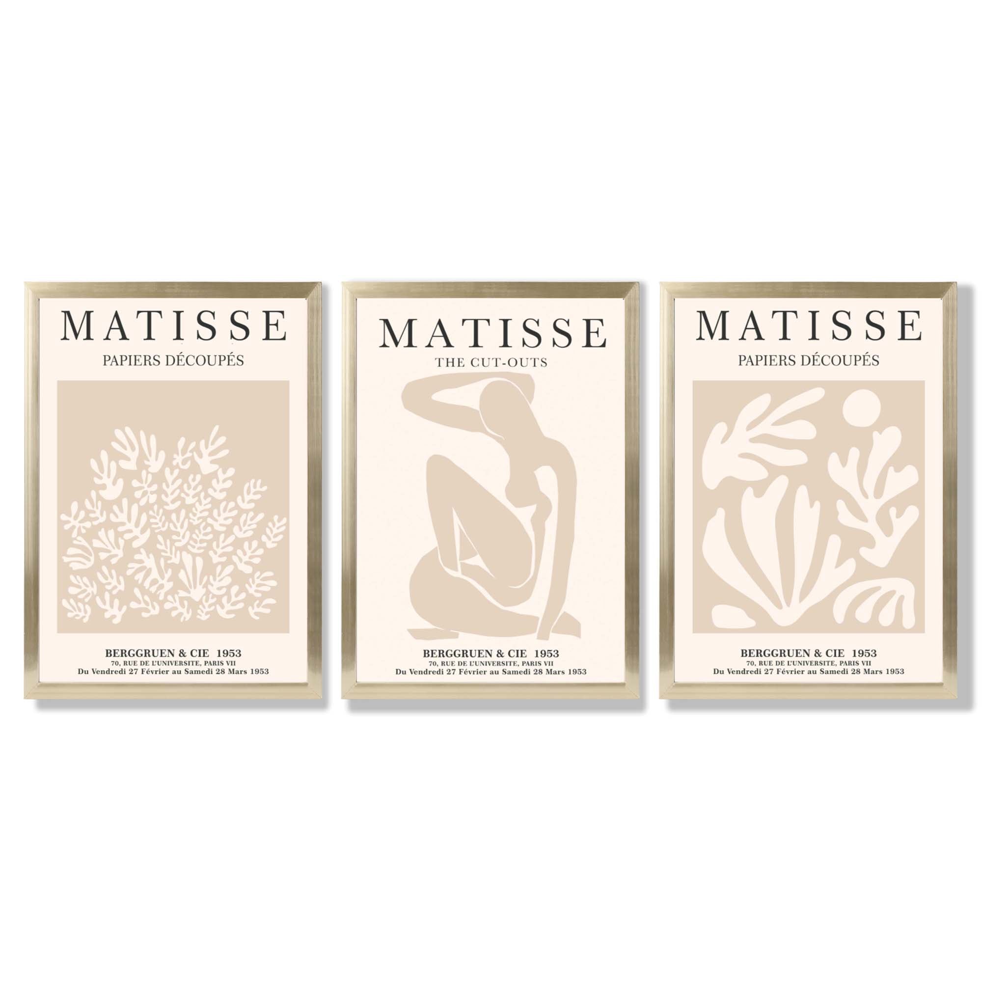 Matisse Set of 3 Beige Botanical Framed Wall Art with Gold Wood Frames