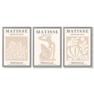 Matisse Set of 3 Beige Botanical Framed Wall Art with Light Grey Wooden Frames