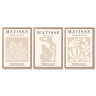 Matisse Set of 3 Beige Botanical Framed Wall Art with Light Oak Frames