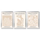 Matisse Set of 3 Beige Botanical Framed Wall Art with Silver Wood Frames