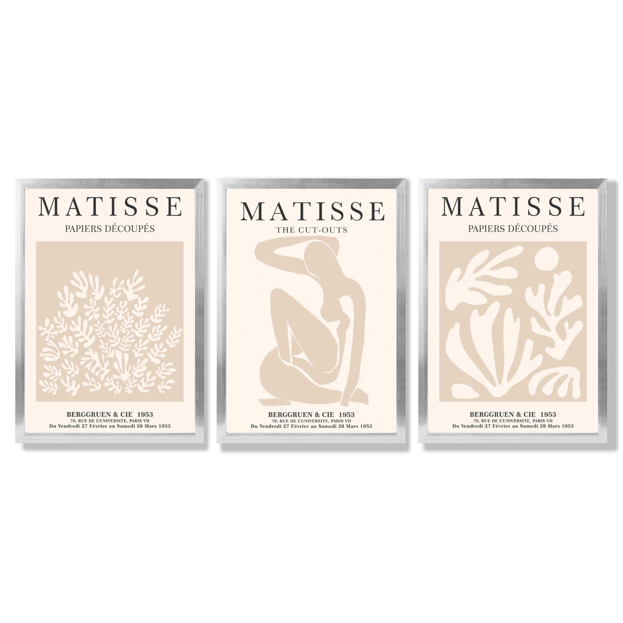 Matisse Set of 3 Beige Botanical Framed Wall Art with Silver Wood Frames
