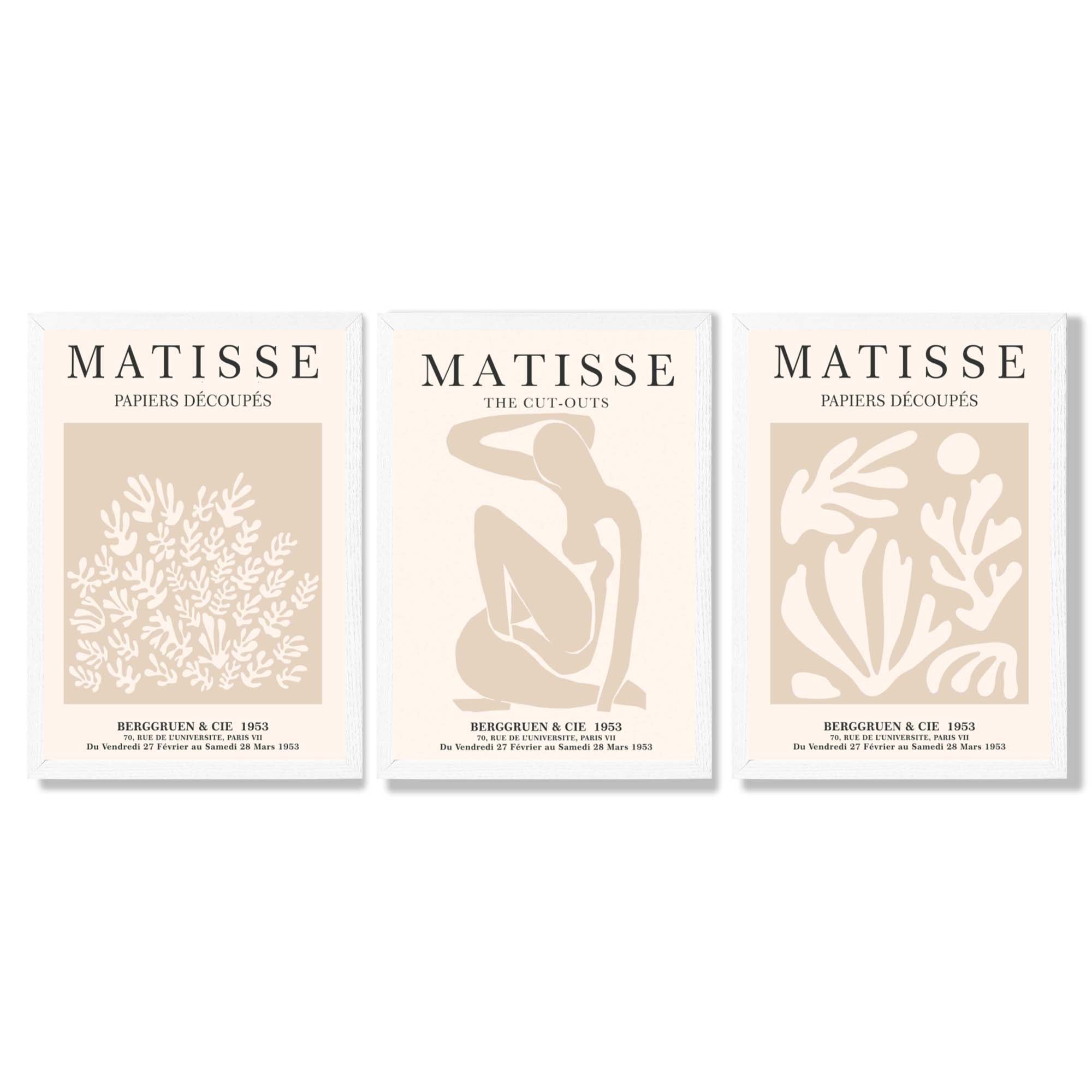 Matisse Set of 3 Beige Botanical Framed Wall Art with White Wooden Frames