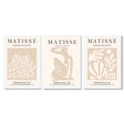 Matisse Set of 3 Beige Botanical Framed Wall Art with White Wooden Frames