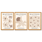 Matisse Florals Set of 3 Beige Framed Wall Art with Oak Wooden Frames