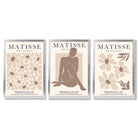 Matisse Florals Fashion Set of 3 Beige Framed Wall Art with Silver Wood Frames