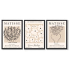 Matisse Floral Line Art Set of 3 Black and Cream Framed Wall Art with Black Wooden Frames
