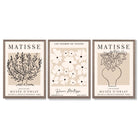 Matisse Floral Line Art Set of 3 Black and Cream Framed Wall Art with Light Walnut Frames