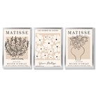 Matisse Floral Line Art Set of 3 Black and Cream Framed Wall Art with Silver Wood Frames