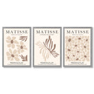Set of 3 Beige and Brown Floral Minimal Framed Wall Art with Light Grey Wooden Frames