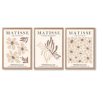 Set of 3 Beige and Brown Floral Minimal Framed Wall Art with Light Oak Frames