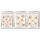 Set of 3 Floral Warm Minimalist Framed Wall Art with Silver Wood Frames