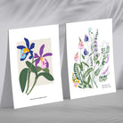 Colourful Spring Flowers Illustration Set of 2 Art Prints