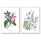 Colourful Spring Flowers Illustration Set of 2 Art Prints with White Frame