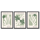 Set of 3 Matisse Cutout Botanical Sage Green and Cream Framed Wall Art with Black Wooden Frames