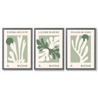 Set of 3 Matisse Cutout Botanical Sage Green and Cream Framed Wall Art with Dark Grey Wooden Frames
