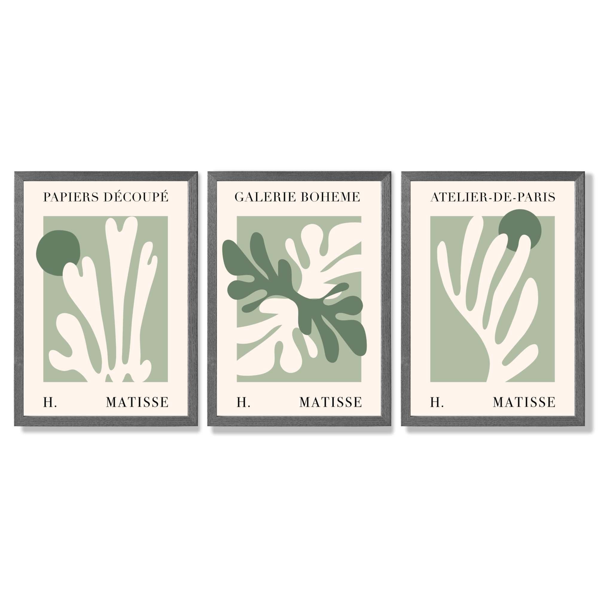 Set of 3 Matisse Cutout Botanical Sage Green and Cream Framed Wall Art with Dark Grey Wooden Frames