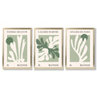 Set of 3 Matisse Cutout Botanical Sage Green and Cream Framed Wall Art with Gold Wood Frames